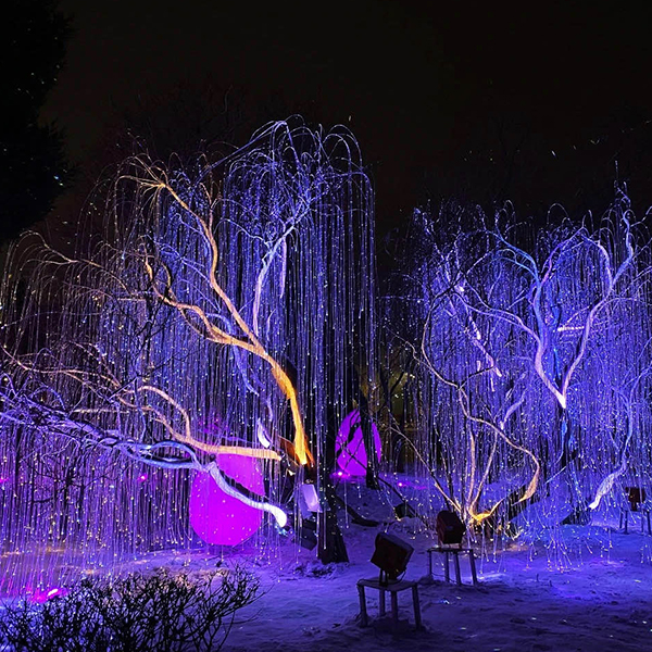Indoor Outdoor Avatar Tree Fiber Optic Lighting - Image 4
