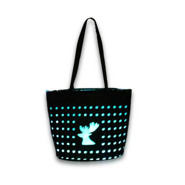 Fashion Luxury Luminous Bags - Image 2