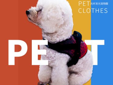 Luminous Pet Clothes