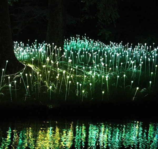 Popular Bulbs Ball Optic Light Rgbw Lights Landscape led fiber optic lights - Image 2