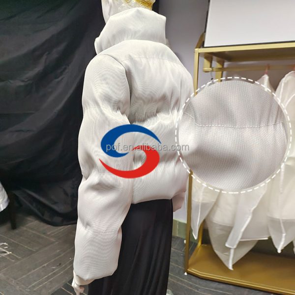 Winter Led Clothing Led Jacket Women Duck Down Jacket - Image 3