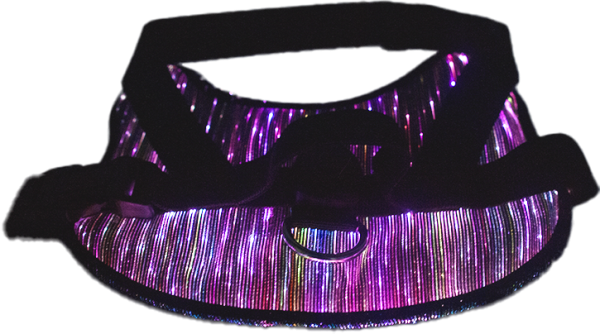 Luminous Pet Clothes - Image 3