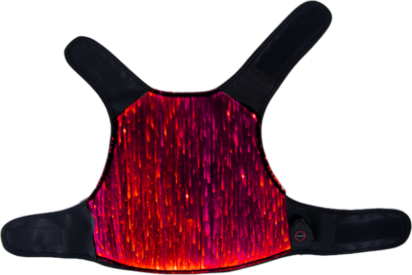 Luminous Pet Clothes - Image 9