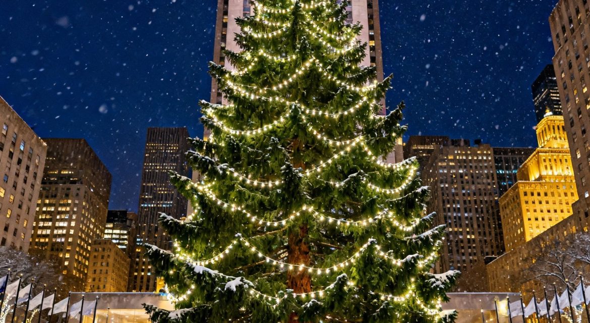 Christmas tree in New York on a winter night