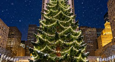 Christmas tree in New York on a winter night