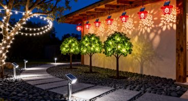 The Ultimate Guide to Outdoor Tree Lights
