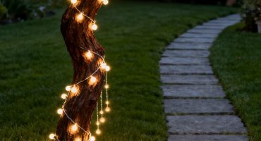 The warm lamp of the night tree