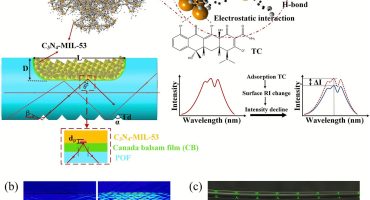 Scientific Breakthrough: Jiangxi Daishing POF Enables High-Sensitivity Tetracycline Detection